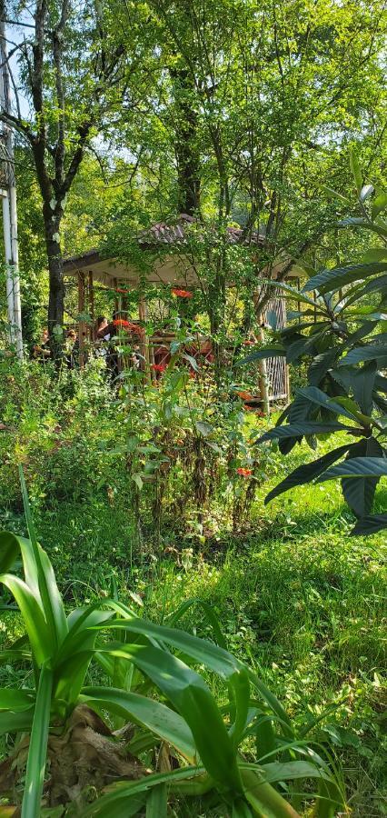 Villa Gelati Koutaïssi Extérieur photo